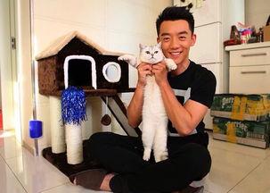 娱乐八卦爆料郑恺,娱乐圈再掀波澜  第3张