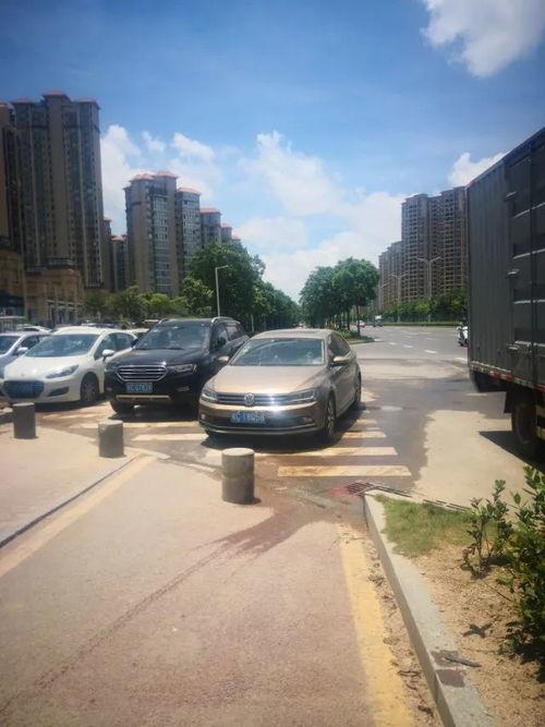 珠海公交车爆料视频最新,爆料视频揭示公交改革新举措  第3张