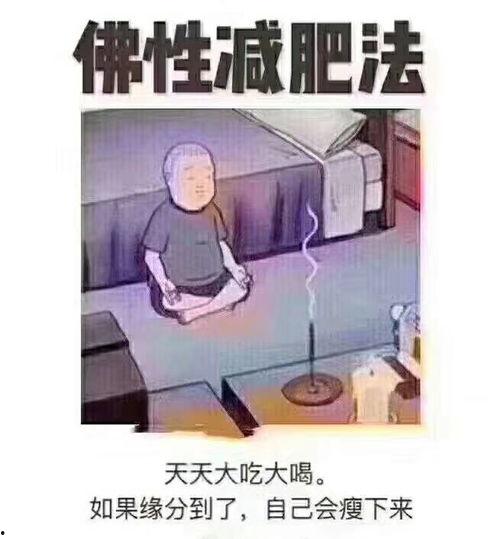 佛系明珠最新爆料图片大全,揭秘明星私下的佛系生活  第1张